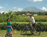 Bali Cycle Adventure - Free Bike Hire